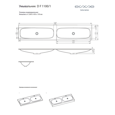 DF 1100 1_2